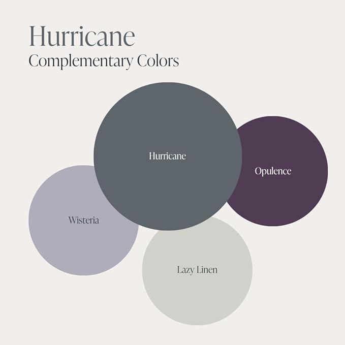 Country Chic All-in-One Chalk Paint for Furniture, Cabinets, Home Decor, Eco-Friendly, Matte Finish, Built-In Primer & Top Coat for Wood, Metal - Hurricane (Cool Grey) - 8 oz (237 ml)