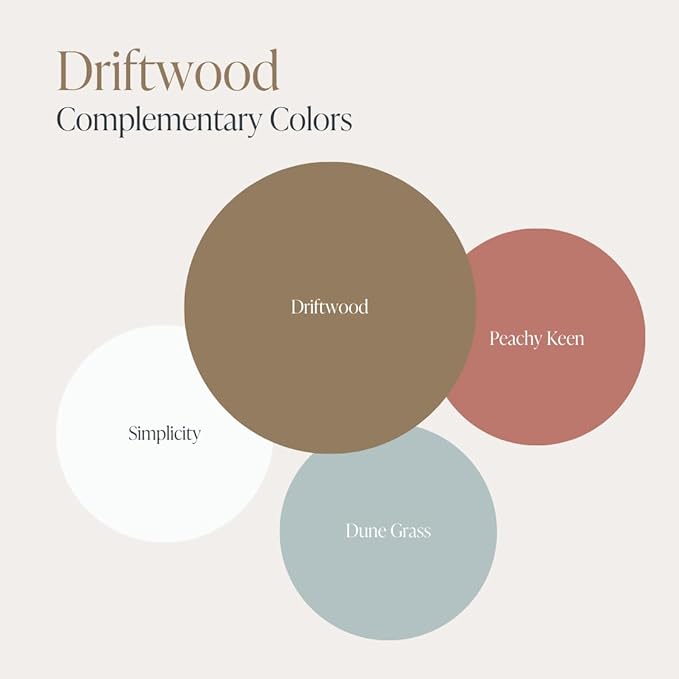 Country Chic All-in-One Chalk Paint for Furniture, Cabinets, Home Decor, Eco-Friendly, Matte Finish, Built-In Primer & Top Coat for Wood, Metal - Driftwood (Brown) - 4 oz (118 ml)