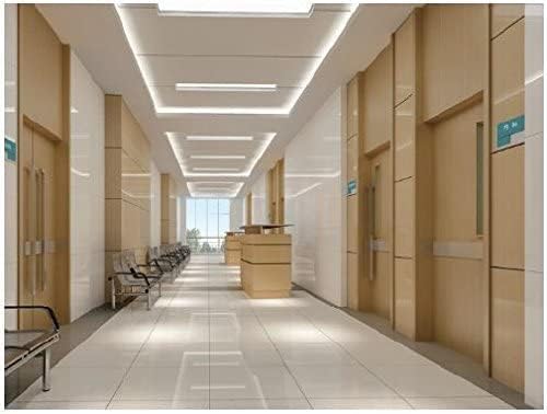 LightingWill LED T8 Light Tube 3FT, Warm White 3000K-3500K, Dual-End Powered Ballast Bypass, 2000Lumens 15W (32W Fluorescent Equivalent), Frosted Cover, AC85-265V Lighting Tube Fixtures, 1Pack