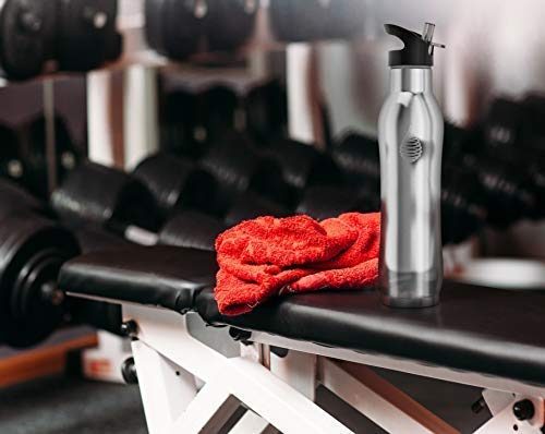 Invigorated Water pH Active Insulated Water Bottle - Filtered Alkaline Water Bottle - Stainless Steel Water Bottle - Includes Alkaline Water Filter, Plus Sports Gym Lid - Double Walled Metal - 650ml