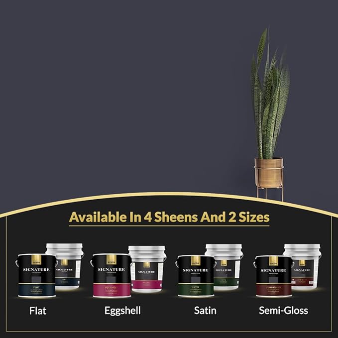 EVOLVE Signature Paint & Primer: Luxury Paint & Primer for Indoor & Outdoor Surfaces, Minimal Odor, Eggshell Sheen (Charcoal Gray, 1 Gallon)