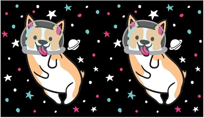 Fifth Sun Space Corgi 17 oz Stainless Steel Water Bottle, 17 Ounce, Multicolored