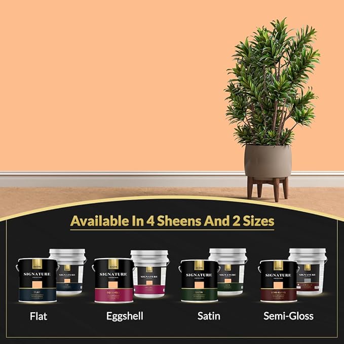 EVOLVE Signature Paint & Primer: Luxury Paint & Primer for Indoor & Outdoor Surfaces, Minimal Odor, Eggshell Sheen (Milky Orange, 1 Gallon)