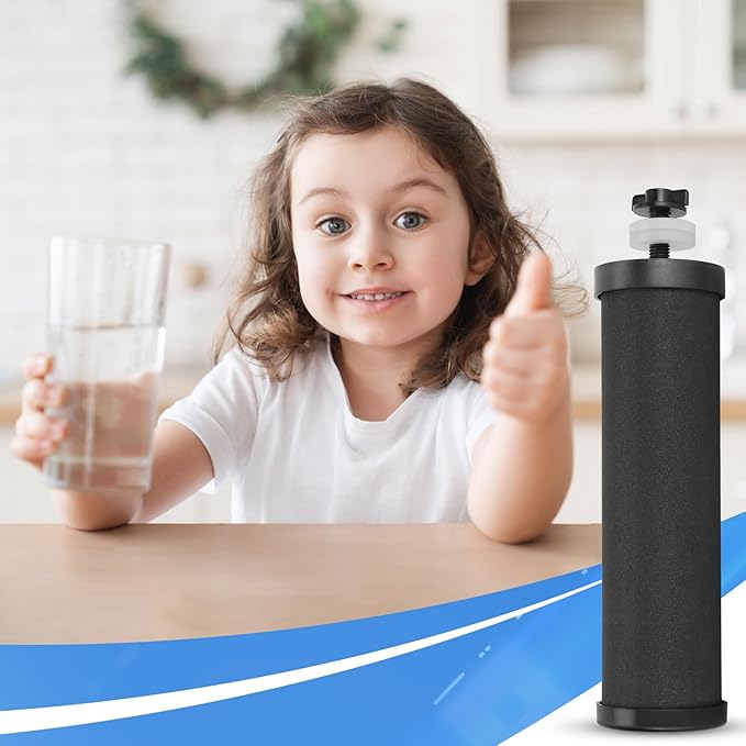 PB-2 Black Purification Elements, Replacement Filters for PB-2/BB8-2 Purification Elements and Gravity Water Filter System,Compatible with Gravity Filter System,King, Big Series(2 Pack)
