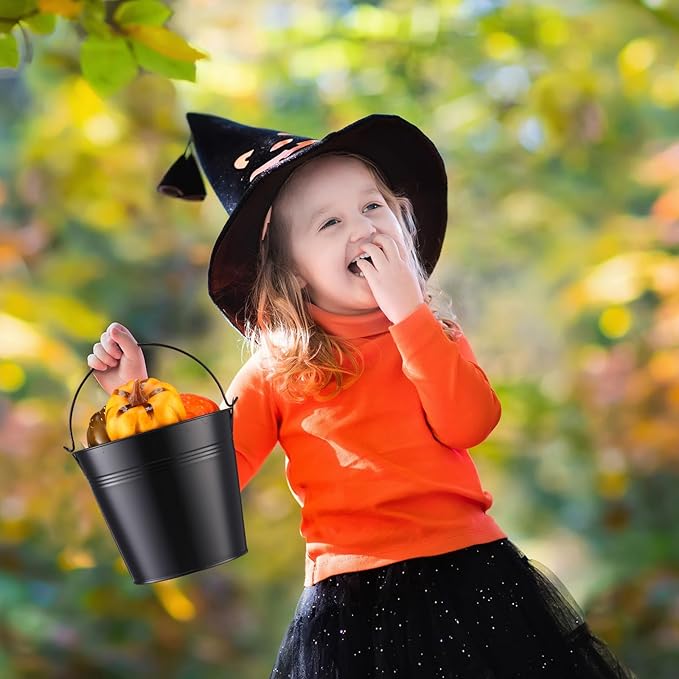 Rtteri 24 Pcs Metal Bucket, Small Metal Bucket, Party Favor Buckets with Handle, 6 x 5 Inch Ice Bucket for Kids, Flower Pot Plant Basket, Mini Toy Containers for Crafts Candy (Black)