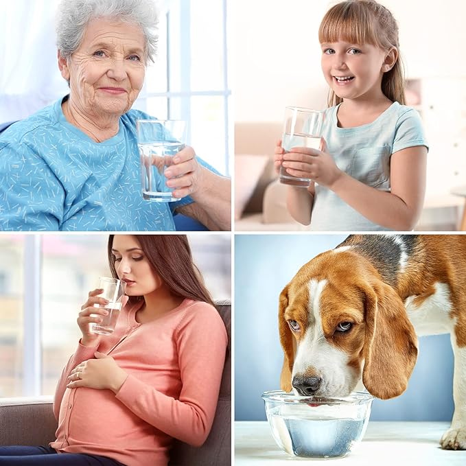 SimPure T1-400 Series CTO Filter Replacement Cartridge, 6 Months Replacement Cartridge (1 Pack)