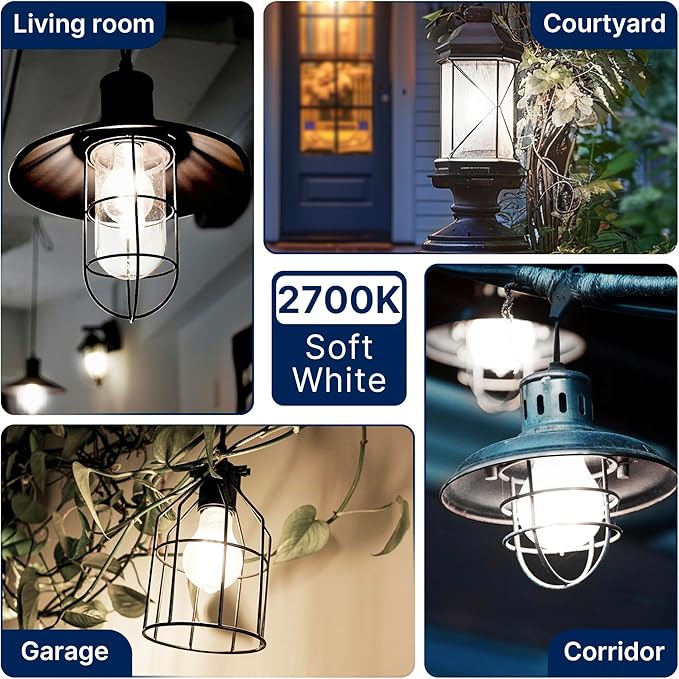 FLSNT 100W Equivalent Dimmable A21 LED Light Bulbs, Efficient 12W, 1600Lumens, 5000K Daylight, CRI90, E26 Medium Base, Clear Glass, 4 Pack