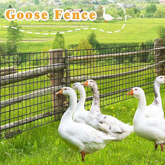 Black Metal Garden Fence, 48inch(H) x 100ft(L), 2 inch x 3 inch,14GA 2/3/4/5/6 Ft Tall Chicken Wire PVC Coated Welded Wire Mesh Roll for Dogs Border Yard Vegetable Plant Protection Poultry Netting