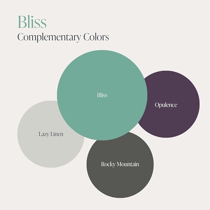 Country Chic All-in-One Chalk Paint for Furniture, Cabinets, Home Decor, Eco-Friendly, Matte Finish, Built-In Primer & Top Coat for Wood, Metal - Bliss (Teal) - 8 oz (237 ml)