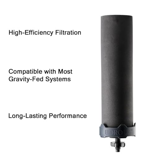 Foundation. Boroux Black Water Filters for Gravity-Fed Water Systems (Set of 2)