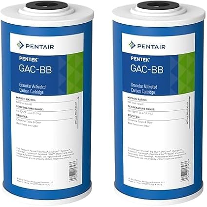 GAC-BB Carbon Water Filter, 10-Inch x 4.5-inch, Whole House Heavy Duty Granular Activated Carbon (GAC) Replacement Cartridge 155153-43 - Pack of 2