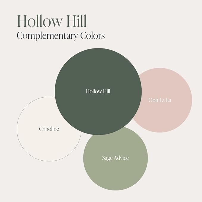 Country Chic All-in-One Chalk Paint for Furniture, Cabinets, Home Decor, Eco-Friendly, Matte Finish, Built-In Primer & Top Coat for Wood, Metal - Hollow Hill (Dark Green) - Pint 16 oz (475 ml)