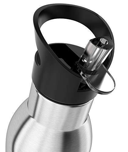 Invigorated Water pH Active Insulated Water Bottle - Filtered Alkaline Water Bottle - Stainless Steel Water Bottle - Includes Alkaline Water Filter, Plus Sports Gym Lid - Double Walled Metal - 650ml