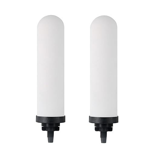 7" Ceramic Filter, Replacement Filters for ProOne® G2.0 Filters, ProOne® Big+ or Big II Countertop Gravity Water Filter System and FACHIOO King Tank Series(Pack of 2)
