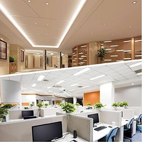 LightingWill LED T8 Light Tube 2FT, Warm White 3000K-3500K, Dual-End Powered Ballast Bypass, 1000Lumens 10W 4W Fluorescent Equivalent, Frosted Cover, AC85-265V Lighting Tube Fixtures, 1 Pack