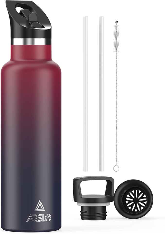 Stainless Steel Water Bottle with Straw - Insulated Water Bottle for Sports, Gym, School, Commute, Adults/Kids - Keep Cold for up to 24 Hours - Sweat/Leak-proof - 2 Lids - BPA Free