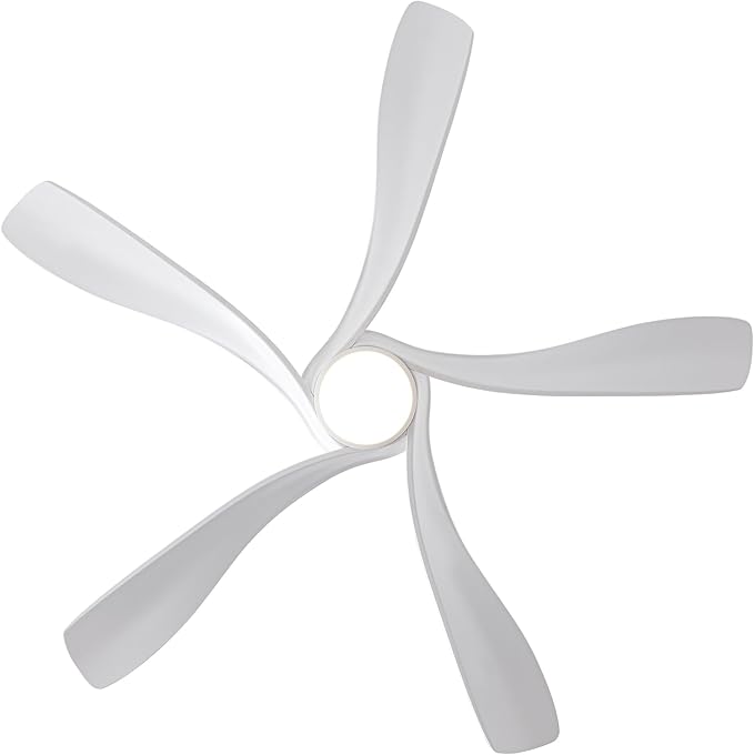 Fergus 5-Blade Lighted Ceiling Fan with LED Lamp with Remote