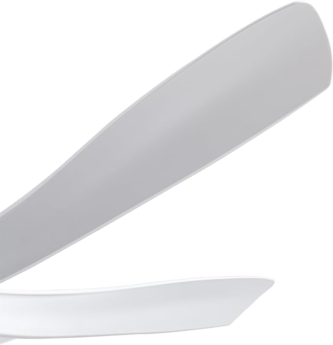 Fergus 5-Blade Lighted Ceiling Fan with LED Lamp with Remote