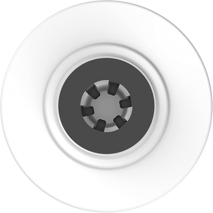 Pentair Pentek GAC-20BB Big Blue Carbon Water Filter, 20-Inch, Whole House Heavy Duty Granular Activated Carbon (GAC) Replacement Cartridge, 20" x 4.5"