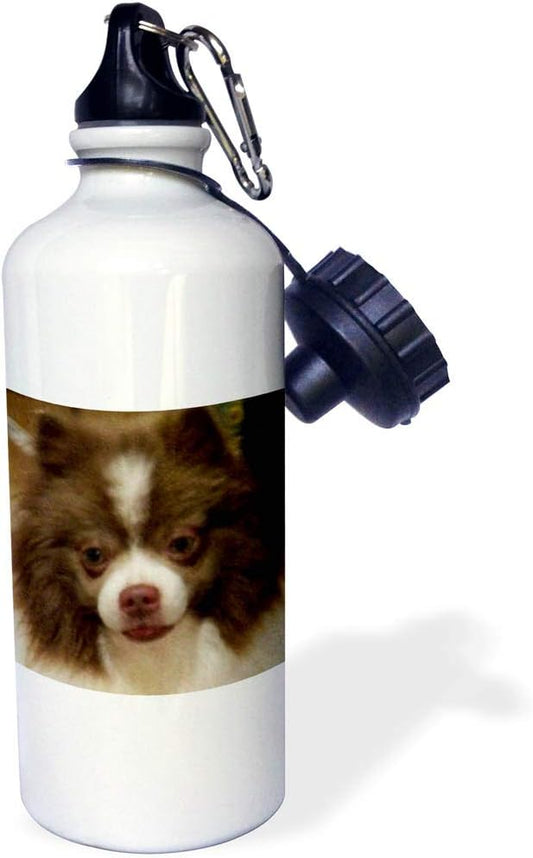 3dRose Chocolate Party Pomeranian Oil Painting Sports Water Bottle, 21 oz, White