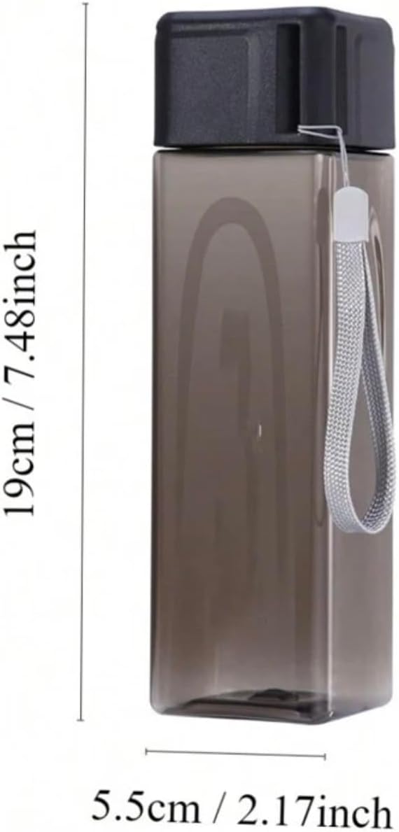 500ml LASSY Clear Trendy Aesthetic Water Bottle with Wristlet, Stainless Steel, for Sports, Travel, Gym (Purple)