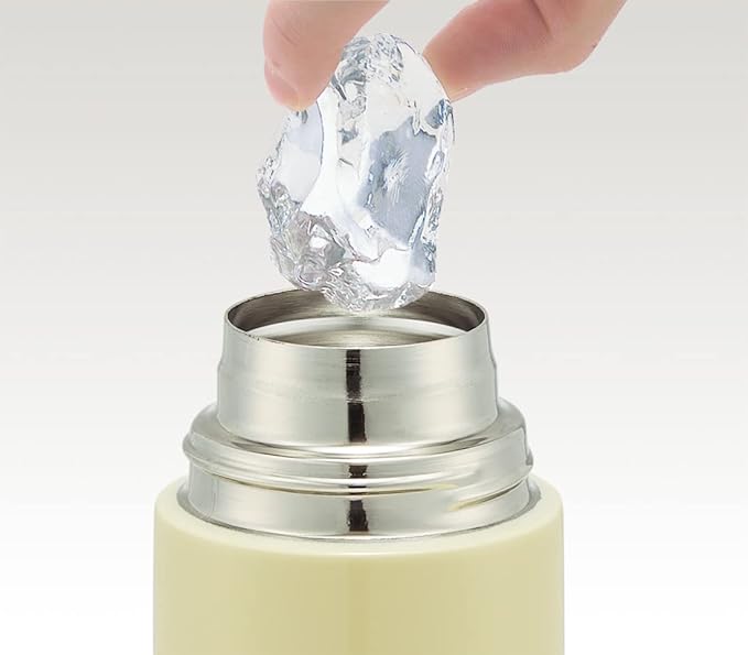 Skater SDC6N-A My Neighbor Totoro Sanpomichi Ghibli Children's Stainless Steel Water Bottle, Direct Drinking 20.9 fl oz (580 ml)