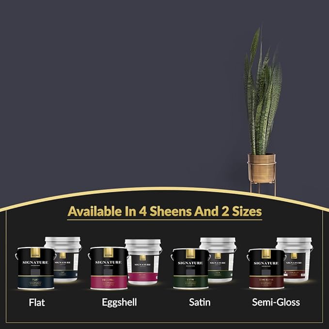 EVOLVE Signature Paint & Primer: Luxury Paint & Primer for Indoor & Outdoor Surfaces, Minimal Odor, Eggshell Sheen (Charcoal Gray, 5 Gallon)