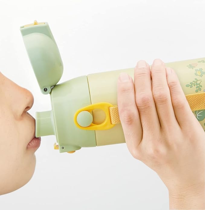 Skater SDC6N-A My Neighbor Totoro Sanpomichi Ghibli Children's Stainless Steel Water Bottle, Direct Drinking 20.9 fl oz (580 ml)