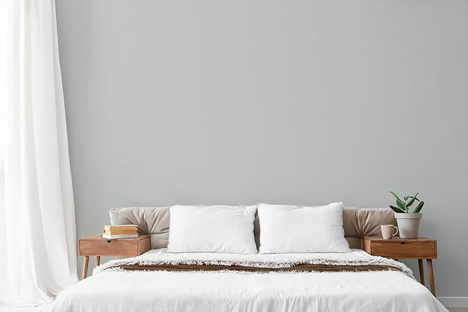 EVOLVE Paint & Primer: Environment-friendly, Low Sheen with One-coat Coverage for Interior & Exterior surfaces Silver Gray, 5-Gallon