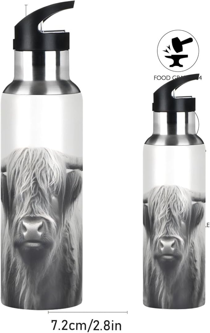 Funny Scottish Highland Cow Water Bottle - Reusable Water Bottle for Gym Bike Running Cycling 600 Milliliter 22 Ounce Stainless Steel Sports Water Bottle