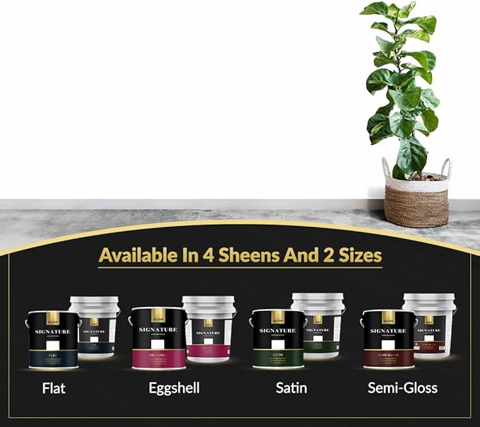 EVOLVE Signature Paint & Primer: Luxury Paint & Primer for Indoor & Outdoor Surfaces, Minimal Odor, Eggshell Sheen (Cloud White, 5 Gallon)