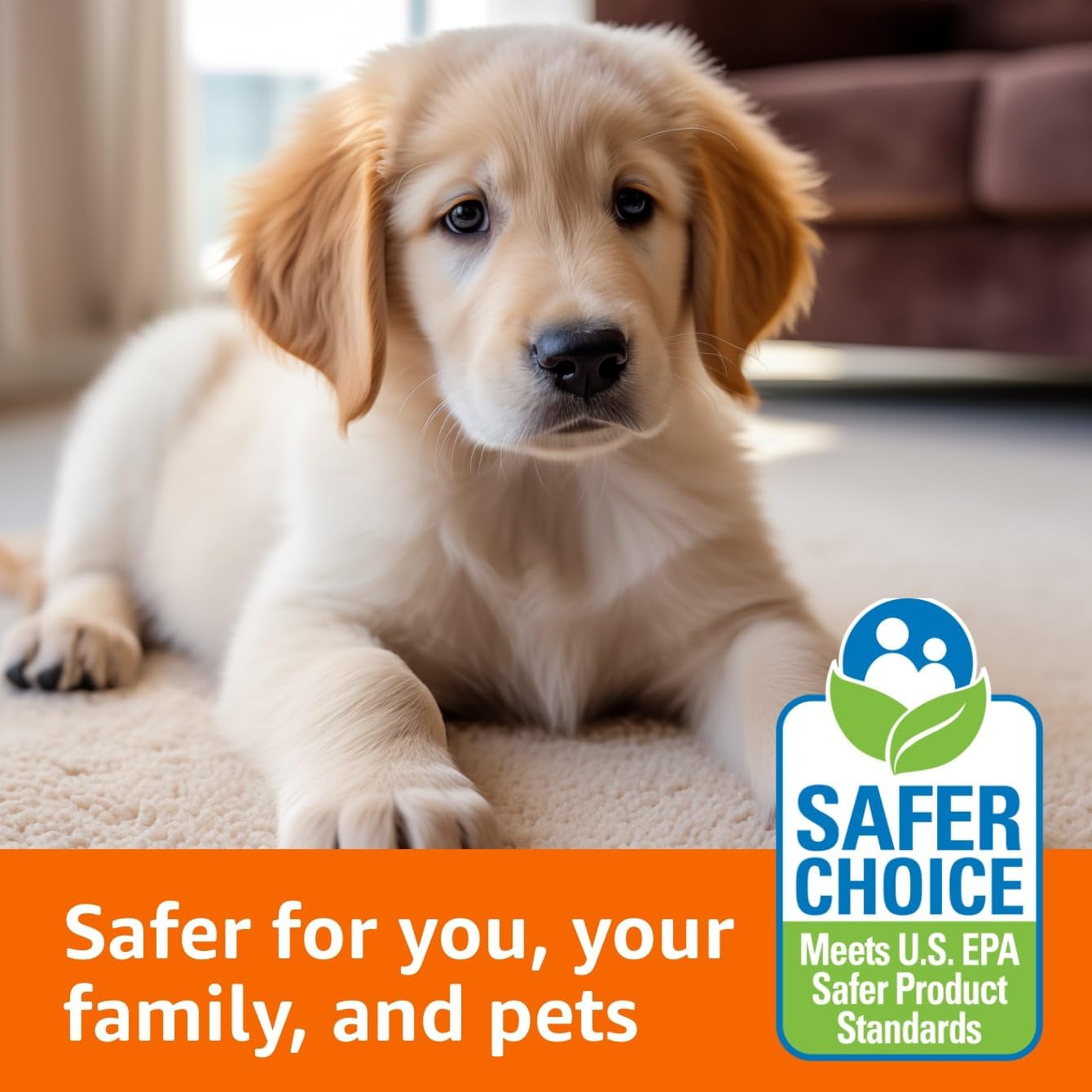 Amazon Basics Oxy Carpet Stain Remover Cleaner, Fresh Scent, 64 fl oz (Pack of 2)