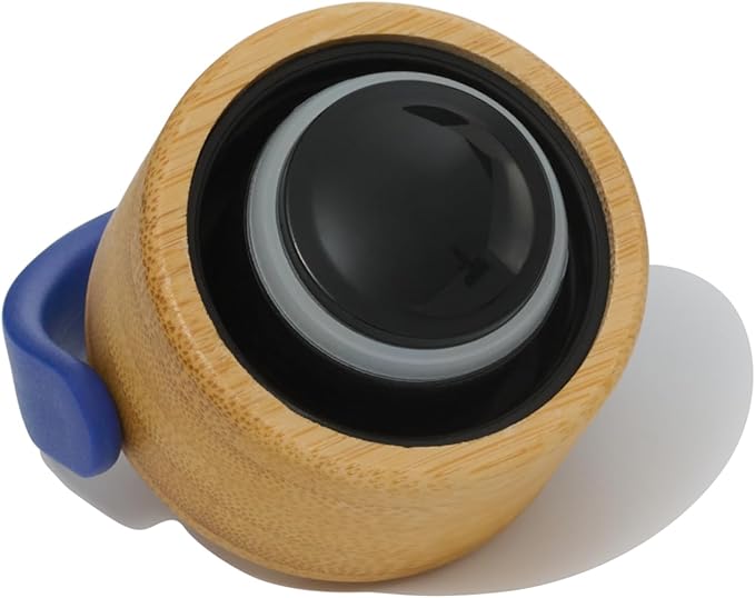 Premium, Double-Walled, Vacuum Sealed, Insulated Water Bottle - 25 oz (750 ml) with Carry Handle (Indigo Blue)