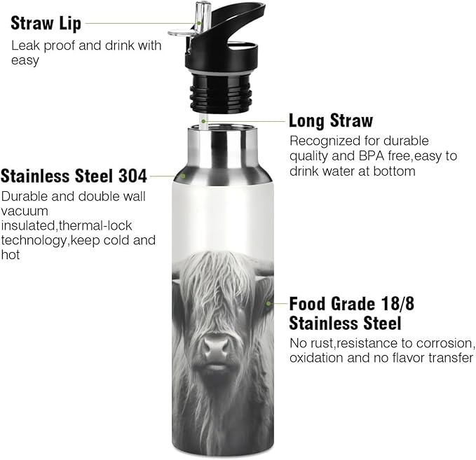 Funny Scottish Highland Cow Water Bottle - Reusable Water Bottle for Gym Bike Running Cycling 600 Milliliter 22 Ounce Stainless Steel Sports Water Bottle