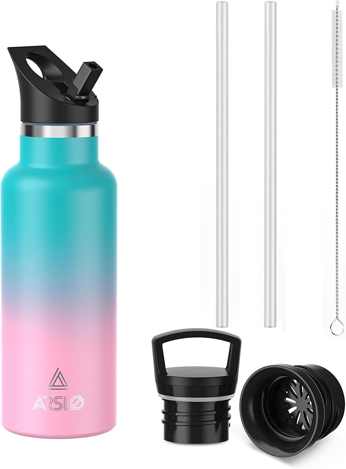 Stainless Steel Double Wall Water Bottles 17oz, Vacuum Insulated Bottle With Straw Lid, Insulated Water Bottle Keeps Water Cold for 24 Hours, Hot for 12 Hours, Hiking, Sports