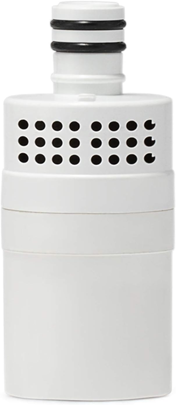 Classic 27oz Filter Bottle Water Bottle Polar Bear stainless steel Camping Hiking Backpacking Outdoor Emergency