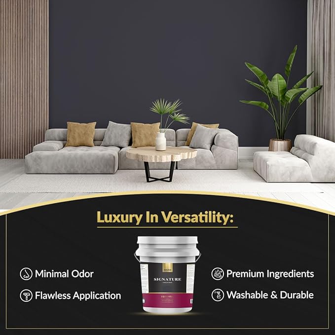 EVOLVE Signature Paint & Primer: Luxury Paint & Primer for Indoor & Outdoor Surfaces, Minimal Odor, Eggshell Sheen (Charcoal Gray, 5 Gallon)