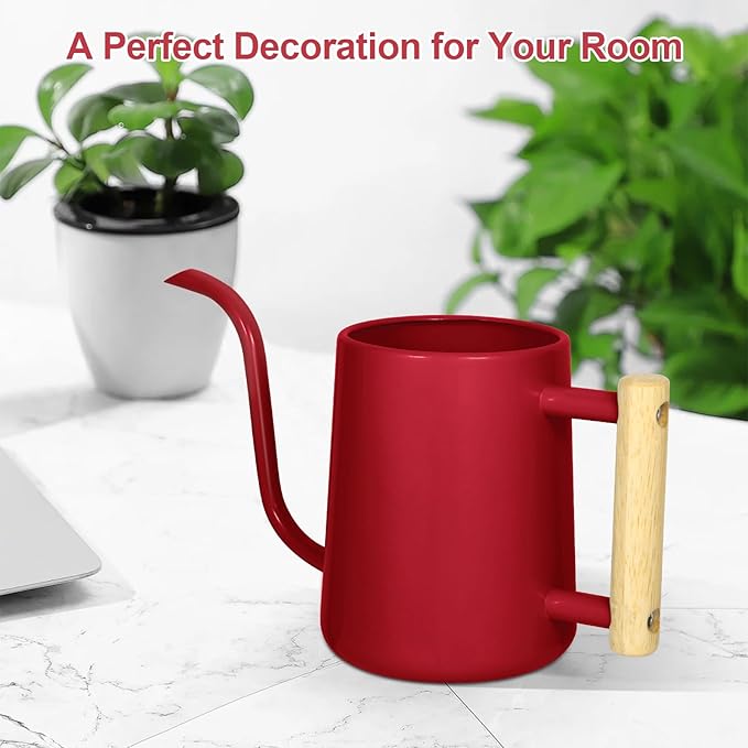 Watering Can Indoor Plants, 35 oz/1000 ml Metal Stainless Steel Watering Can Pot with Long Spout for Indoor House Plants Bonsai Outdoor Garden Flower Decorative (Red)