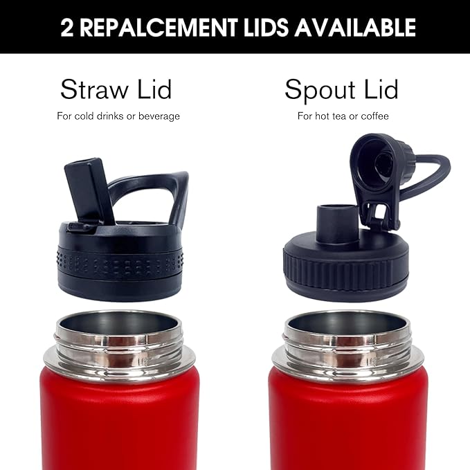 4pack 22 oz Insulated Water Bottle With Straw, Stainless Steel Sports Water Cup Flask with 2 Lids, Wide Mouth Travel Thermal Mug,Red