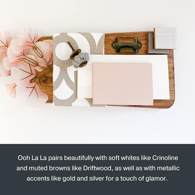 Country Chic All-in-One Chalk Paint for Furniture, Cabinets, Home Decor, Eco-Friendly, Matte Finish, Built-In Primer & Top Coat for Wood, Metal - Ooh La La (Light Pink) - 8 oz (237 ml)