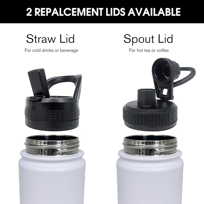 8pack 22 oz Insulated Water Bottle With Straw, Stainless Steel Sports Water Cup Flask with 2 Lids, Wide Mouth Travel Thermal Mug,Combining Colors