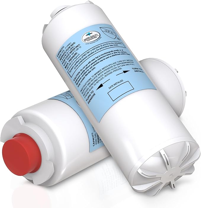 Filter Replacement for Elkay 51300C WaterSentry EWF3000 (9" No Chip - 2 Pack)