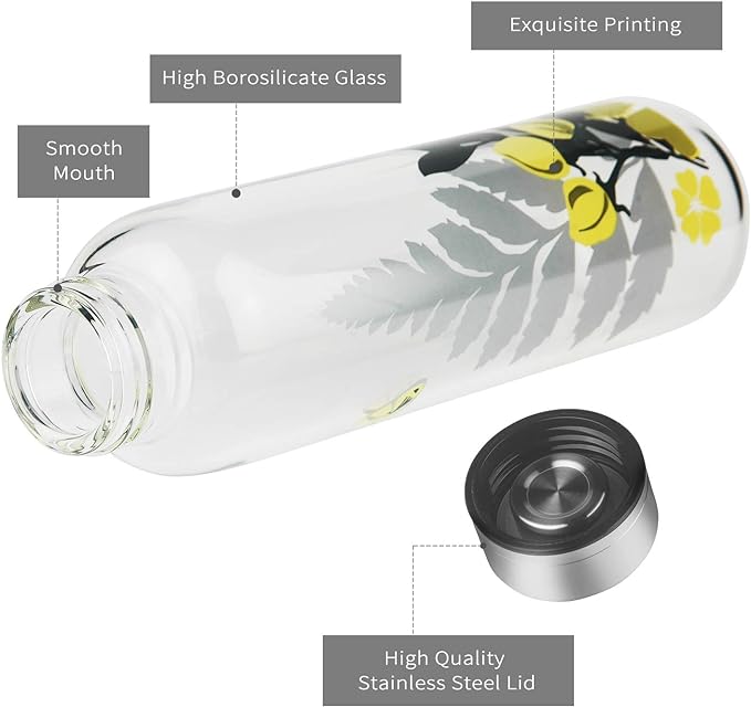 Borosilicate Glass Water Bottle, Sports Glass Drinking Bottle with Neoprene Sleeve and Stainless Steel Lid 16oz / 32oz