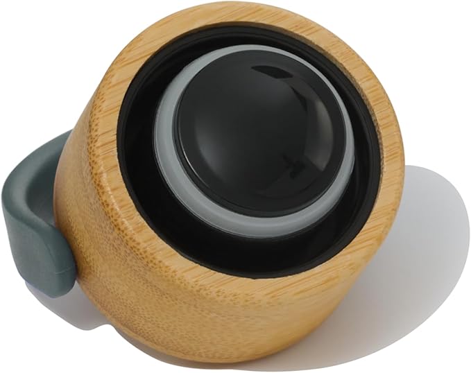 Premium, Double-Walled, Vacuum Sealed, Insulated Water Bottle - 25 oz (750 ml) with Carry Handle (Gray)