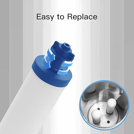 7" Ceramic Fluorine Filter, Replacement Filters for ProOne® G2.0 Filters, ProOne® Big+ or Big II Countertop Gravity Water Filter System and FACHIOO King Tank Series(Pack of 4)