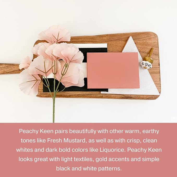 Country Chic All-in-One Chalk Paint for Furniture, Cabinets, Home Decor, Eco-Friendly, Matte Finish, Built-In Primer & Top Coat for Wood, Metal - Peachy Keen (Coral Pink) - Pint 16 oz (475 ml)