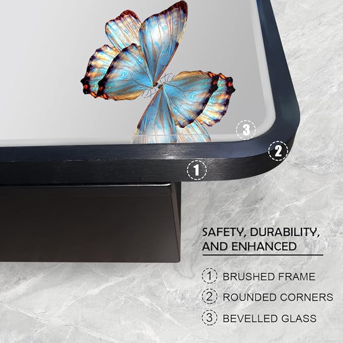 16×26inch Medicine Cabinet,Mirror Cabinet with Beveled Mirror,Solf Close Hinge,Brushed Metal Framed,Detachable Side Plate for Recess Mount or Surface Mount,Black