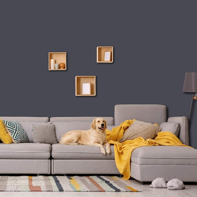 PRESTIGE Interior Paint and Primer in One, Ash Hollow, Eggshell, 1 Gallon