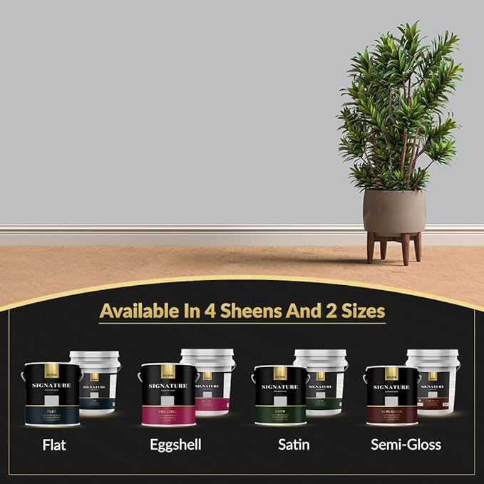 EVOLVE Signature Paint & Primer: Luxury Paint & Primer for Indoor & Outdoor Surfaces, Minimal Odor, Eggshell Sheen (Ash Gray, 5 Gallon)