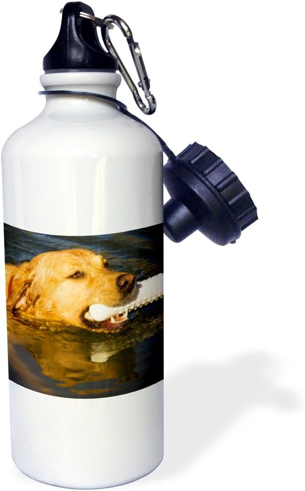3dRose "Purebred Yellow Labrador dog with dummy NA02 PWO0045 PiperAnne Worcester" Sports Water Bottle, 21 oz, White